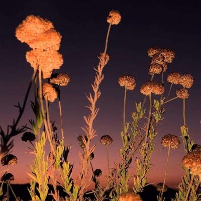 皇冠新体育手机app下载